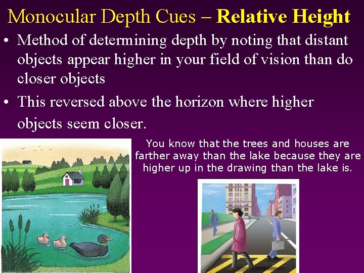 Monocular Depth Cues – Relative Height • Method of determining depth by noting that