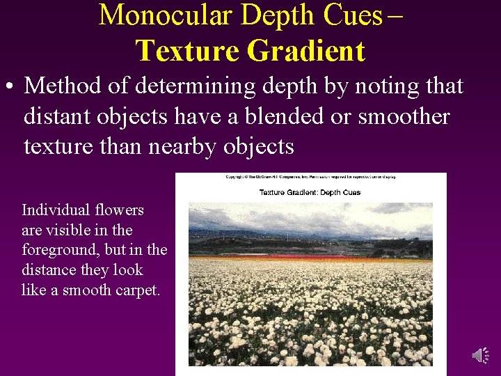 Monocular Depth Cues – Texture Gradient • Method of determining depth by noting that