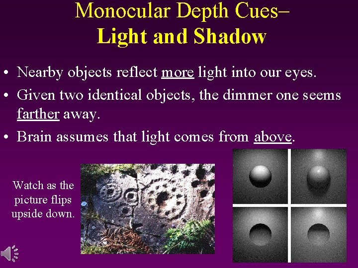 Monocular Depth Cues– Light and Shadow • Nearby objects reflect more light into our