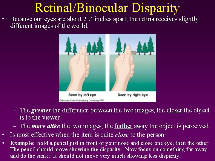 Retinal/Binocular Disparity • Because our eyes are about 2 ½ inches apart, the retina