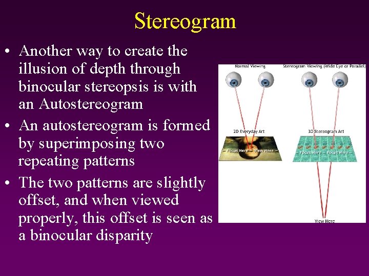 Stereogram • Another way to create the illusion of depth through binocular stereopsis is