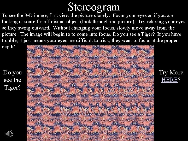Stereogram To see the 3 -D image, first view the picture closely. Focus your