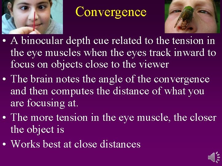 Convergence • A binocular depth cue related to the tension in the eye muscles