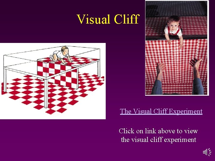 Visual Cliff The Visual Cliff Experiment Click on link above to view the visual