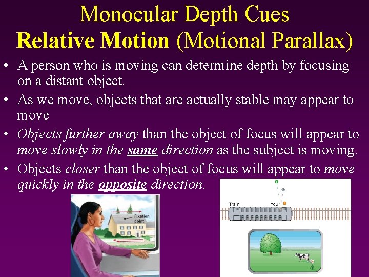 Monocular Depth Cues Relative Motion (Motional Parallax) • A person who is moving can