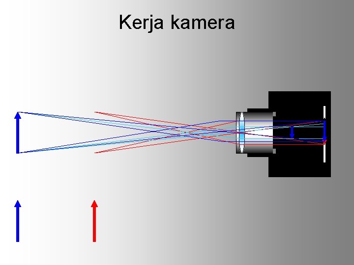 Kerja kamera 