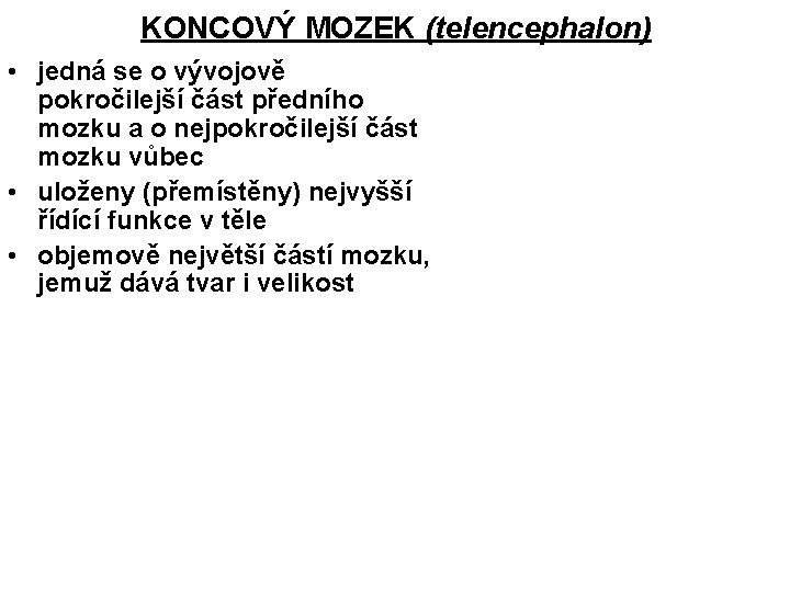 KONCOVÝ MOZEK (telencephalon) • jedná se o vývojově pokročilejší část předního mozku a o