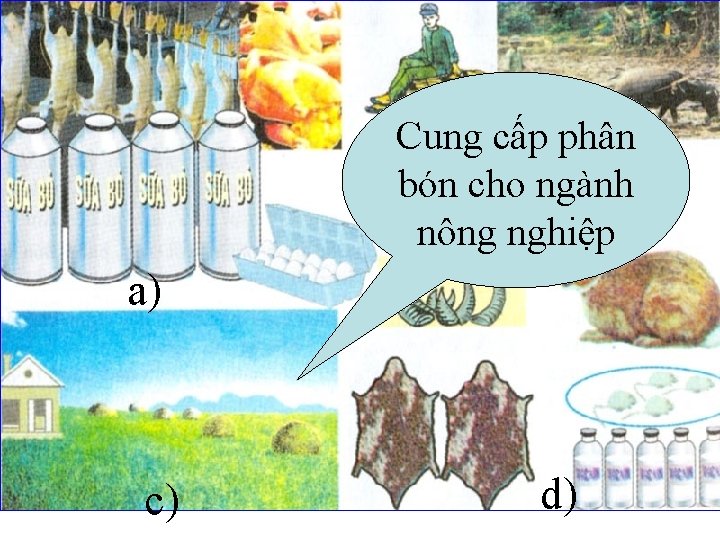 Cung cấp phân bón cho ngành b) nông nghiệp a) c) d) 