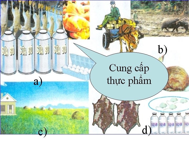 b) a) c) Cung cấp thực phẩm d) 