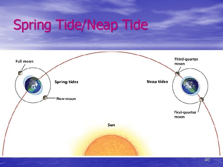 Spring Tide/Neap Tide 40 