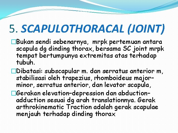 5. SCAPULOTHORACAL (JOINT) �Bukan sendi sebenarnya, mrpk pertemuan antara scapula dg dinding thorax, bersama