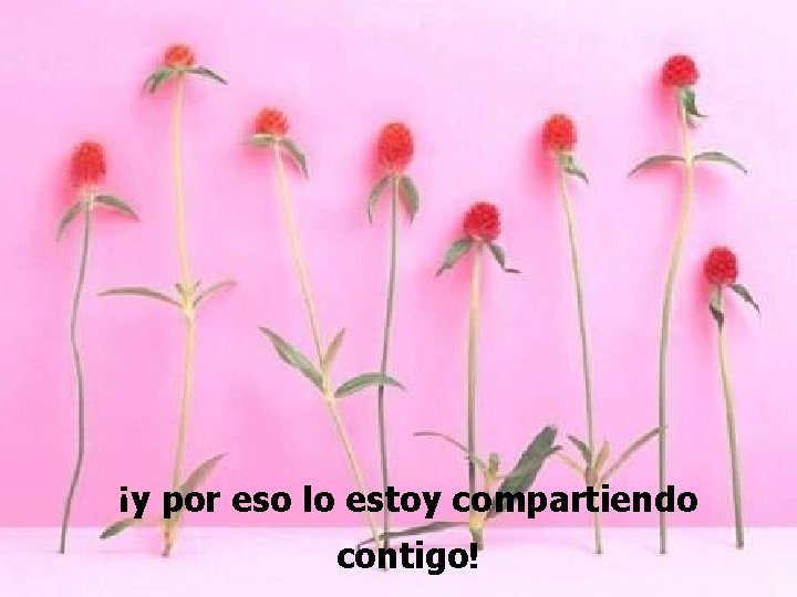 ¡y por eso lo estoy compartiendo contigo! 