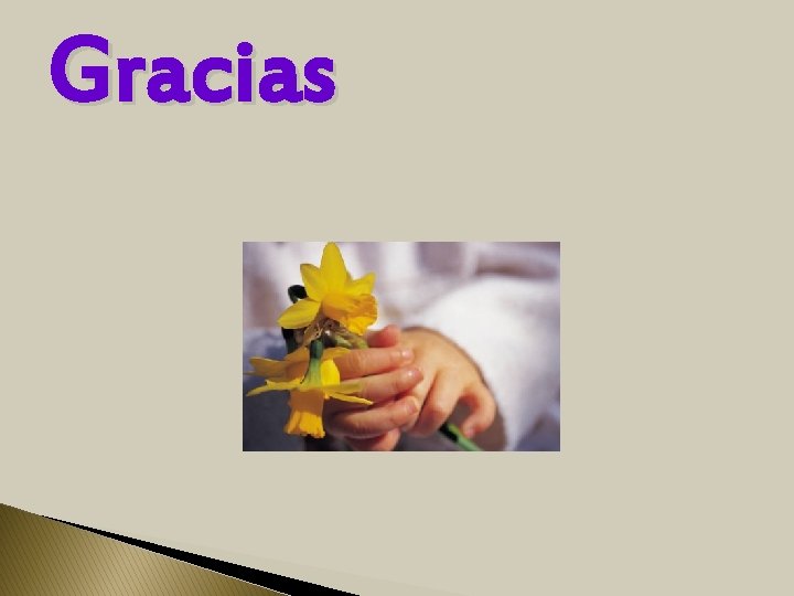 Gracias 