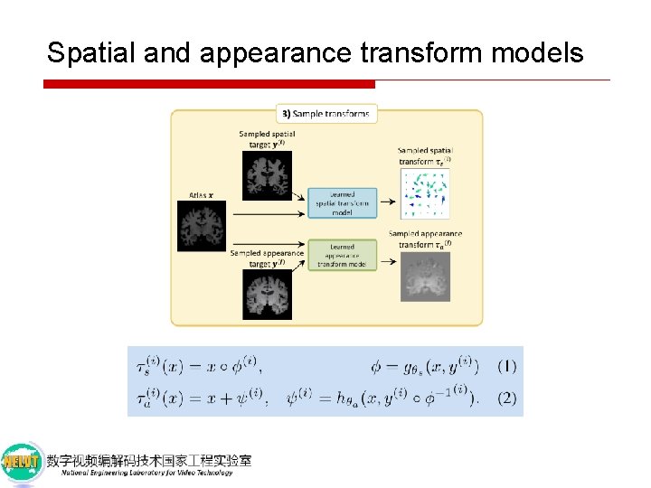 Spatial and appearance transform models 