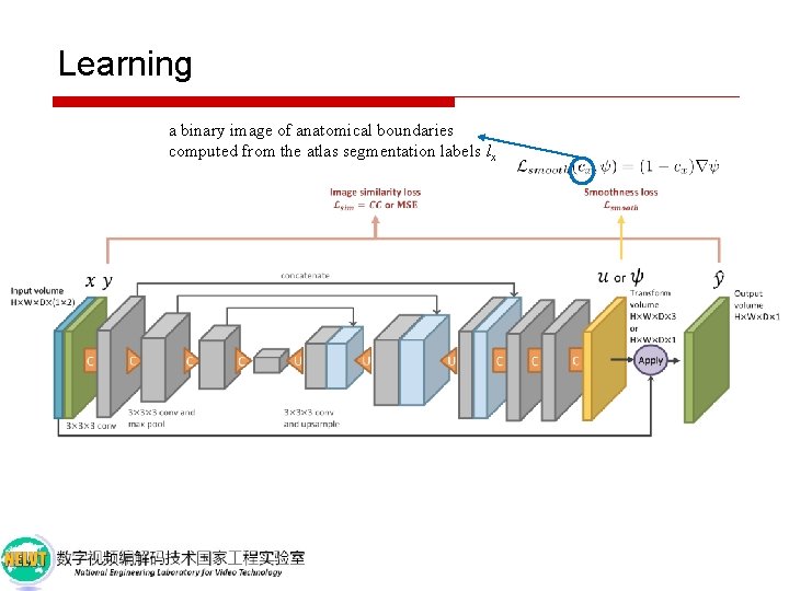 Learning a binary image of anatomical boundaries computed from the atlas segmentation labels lx