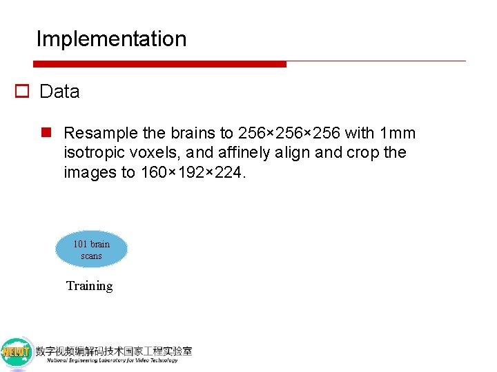 Implementation o Data n Resample the brains to 256× 256 with 1 mm isotropic