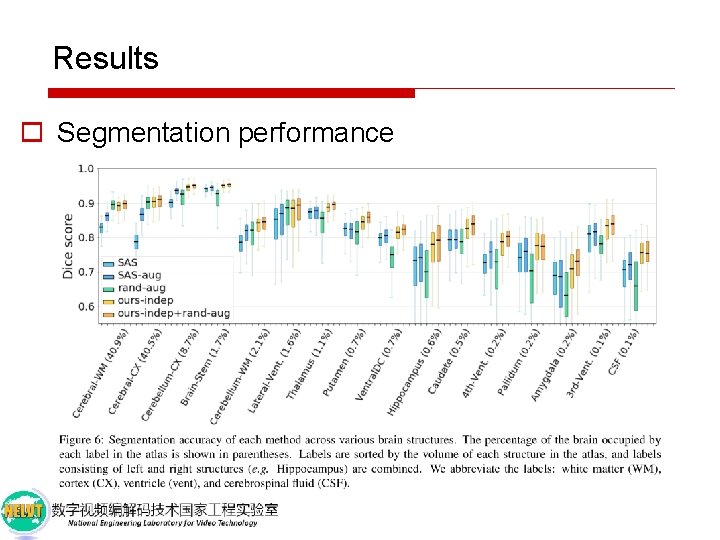 Results o Segmentation performance 