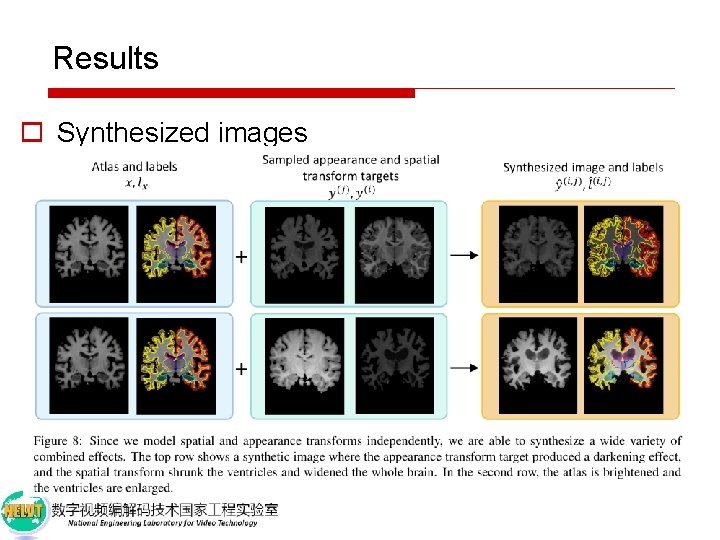 Results o Synthesized images 