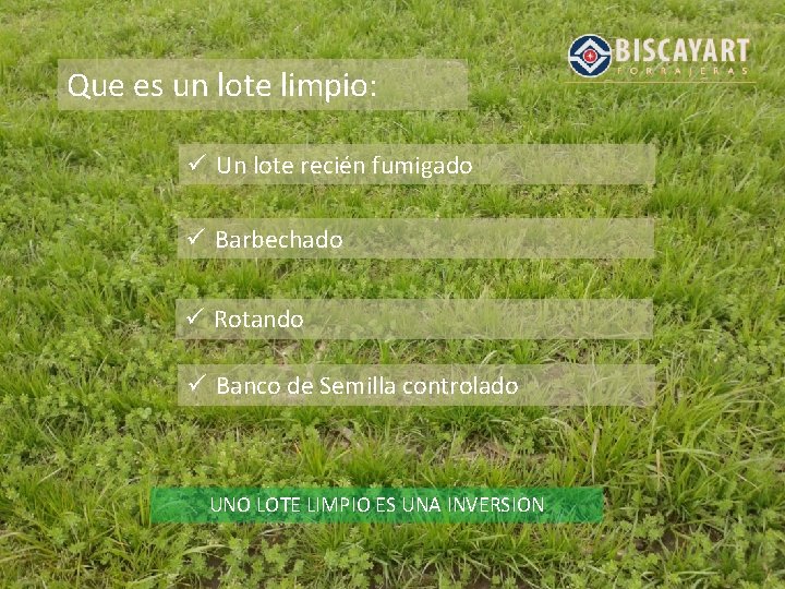 Que es un lote limpio: ü Un lote recién fumigado ü Barbechado ü Rotando