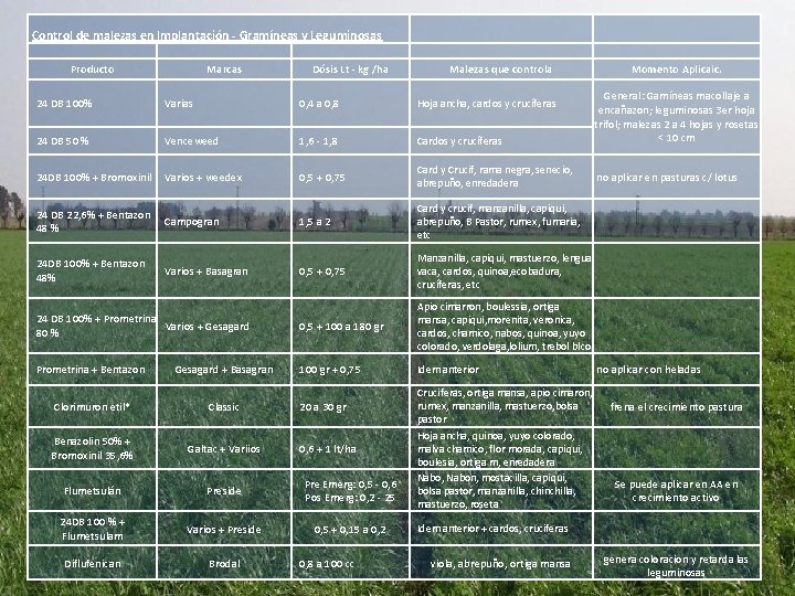 Control de malezas en Implantación - Gramíneas y Leguminosas Producto Marcas Dósis Lt -
