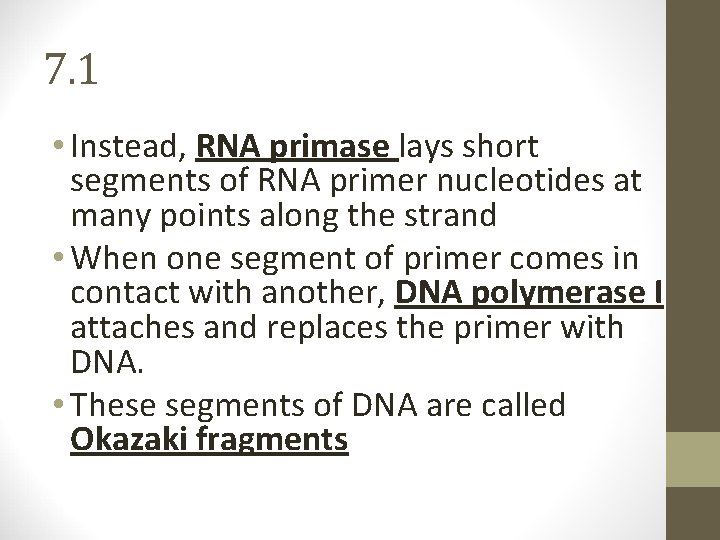 7. 1 • Instead, RNA primase lays short segments of RNA primer nucleotides at 7. 1 • Instead, RNA primase lays short segments of RNA primer nucleotides at