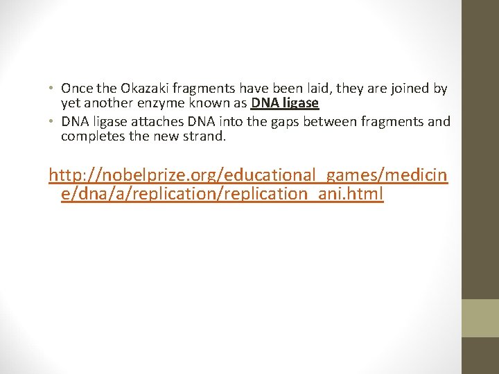 • Once the Okazaki fragments have been laid, they are joined by yet • Once the Okazaki fragments have been laid, they are joined by yet