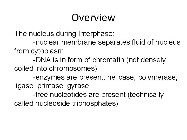 Overview The nucleus during Interphase: -nuclear membrane separates fluid of nucleus from cytoplasm -DNA Overview The nucleus during Interphase: -nuclear membrane separates fluid of nucleus from cytoplasm -DNA