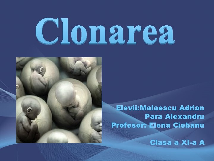 Elevii: Malaescu Adrian Para Alexandru Profesor: Elena Ciobanu Clasa a XI-a A 