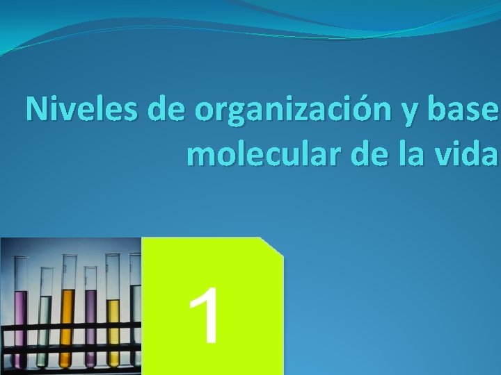 Niveles de organización y base molecular de la vida 