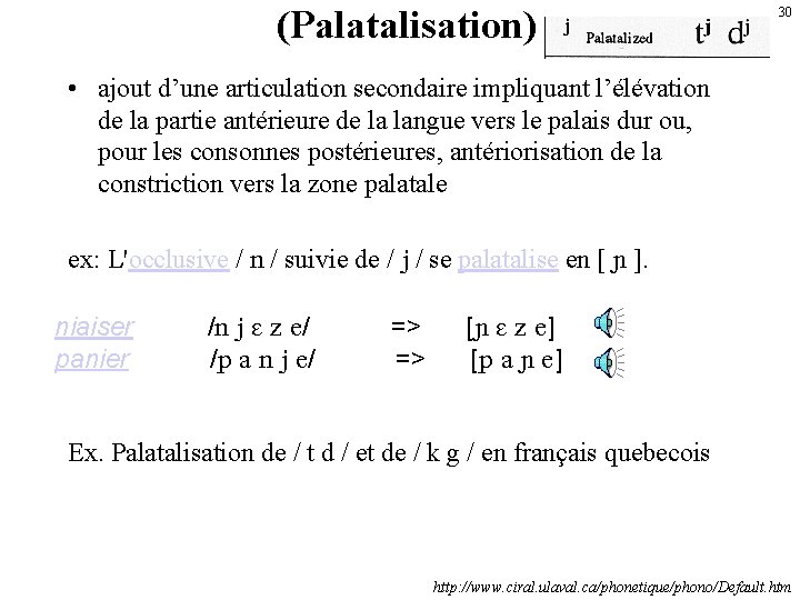 (Palatalisation) 30 • ajout d’une articulation secondaire impliquant l’élévation de la partie antérieure de