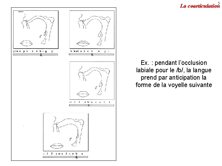 5 La coarticulation Ex. : pendant l’occlusion labiale pour le /b/, la langue prend