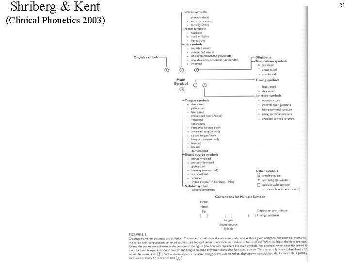 Shriberg & Kent (Clinical Phonetics 2003) 51 