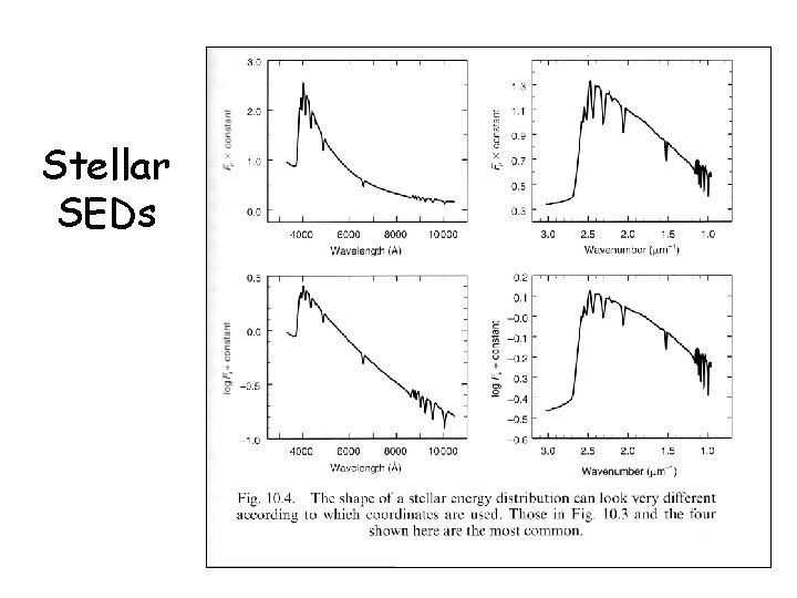 Stellar SEDs 