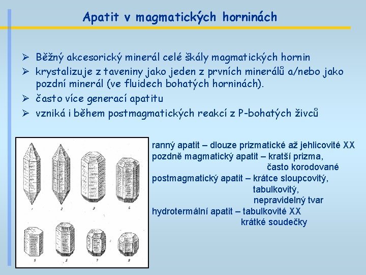 Apatit v magmatických horninách Ø Běžný akcesorický minerál celé škály magmatických hornin Ø krystalizuje