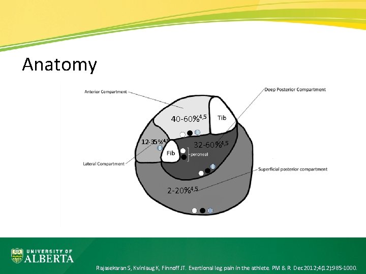 Anatomy 40 -60%4, 5 12 -35%4, 5 32 -60%4, 5 2 -20%4, 5 Rajasekaran