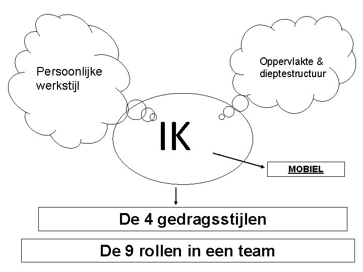 Oppervlakte & dieptestructuur Persoonlijke werkstijl IK MOBIEL De 4 gedragsstijlen De 9 rollen in