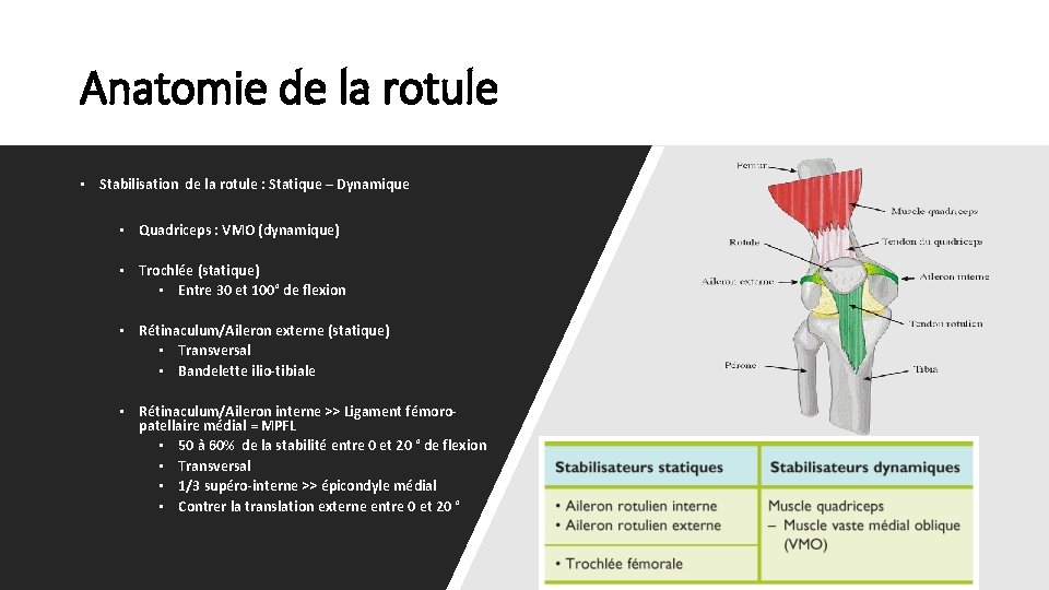 Anatomie de la rotule • Stabilisation de la rotule : Statique – Dynamique •