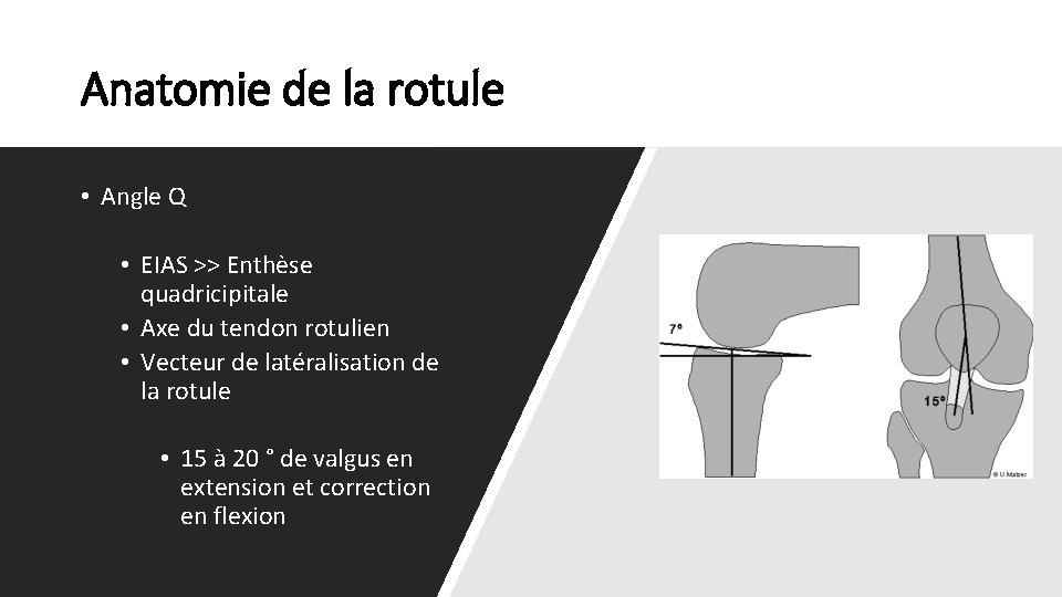 Anatomie de la rotule • Angle Q • EIAS >> Enthèse quadricipitale • Axe