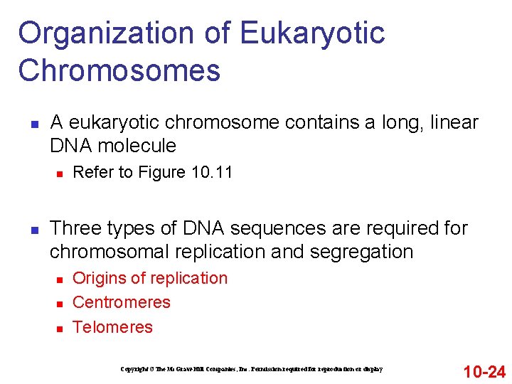 Organization of Eukaryotic Chromosomes n A eukaryotic chromosome contains a long, linear DNA molecule Organization of Eukaryotic Chromosomes n A eukaryotic chromosome contains a long, linear DNA molecule