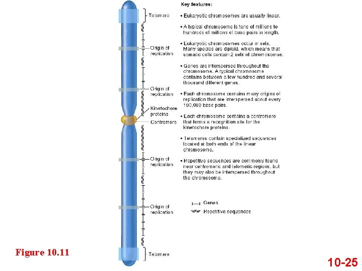 Figure 10. 11 10 -25 Figure 10. 11 10 -25