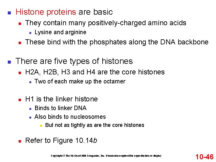 n Histone proteins are basic n They contain many positively-charged amino acids n n n Histone proteins are basic n They contain many positively-charged amino acids n n