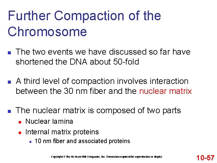 Further Compaction of the Chromosome n n n The two events we have discussed Further Compaction of the Chromosome n n n The two events we have discussed