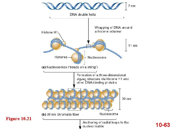Figure 10. 21 10 -63 Figure 10. 21 10 -63