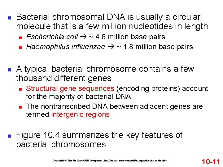 n Bacterial chromosomal DNA is usually a circular molecule that is a few million n Bacterial chromosomal DNA is usually a circular molecule that is a few million