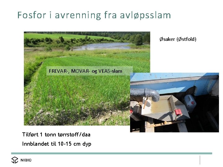 Fosfor i avrenning fra avløpsslam Øsaker (Østfold) FREVAR-, MOVAR- og VEAS-slam Tilført 1 tonn