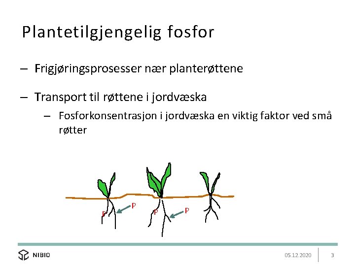 Plantetilgjengelig fosfor – Frigjøringsprosesser nær planterøttene – Transport til røttene i jordvæska – Fosforkonsentrasjon