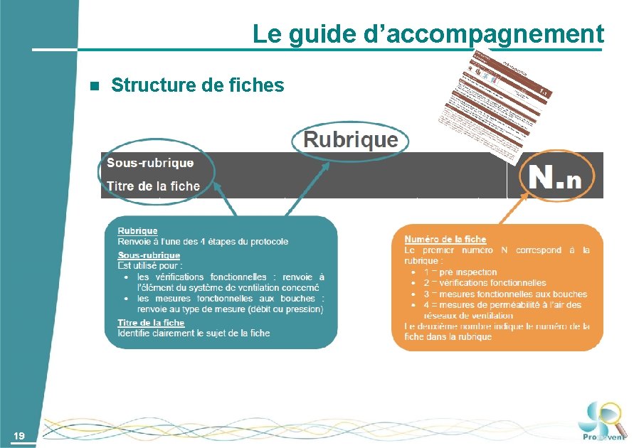 Le guide d’accompagnement 19 Structure de fiches 