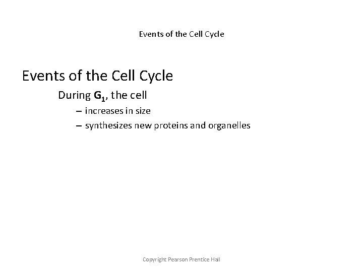 Events of the Cell Cycle During G 1, the cell – increases in size