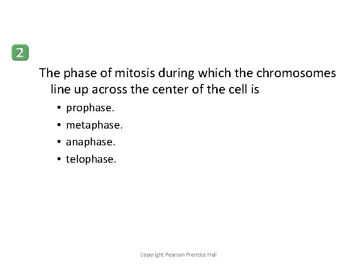 The phase of mitosis during which the chromosomes line up across the center of