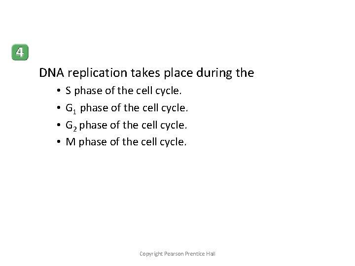 DNA replication takes place during the • • S phase of the cell cycle.